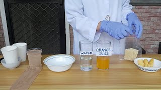 Digestive System Demo Do it at Home Experiment [upl. by Vaclav593]