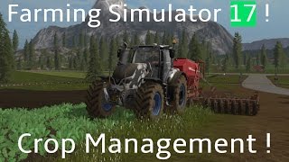 Farming Simulator 17  Oilseed Radish and How it Helps [upl. by Ahsinrac]