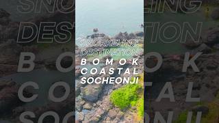 Jeju TravelSnorkeling Destination Bomok Coastal Socheonji [upl. by Sofia]