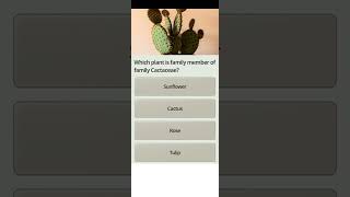 Which plant is family member of family cactaceae [upl. by Nine]