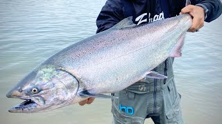 Bank Fishing Salmon amp Steelhead  Tips amp Tricks For Plunking [upl. by Philippa335]