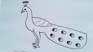 how to draw peacock drawing easy step by stepDrawingTalent [upl. by Nhguav]