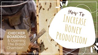 How to increase honey production Checkerboarding and opening the brood chamber [upl. by Teahan]