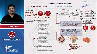 HEMATOLOGÍA  Anemias macrocíticas Anemia megaloblástica [upl. by Jessalyn]