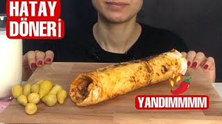 ASMR HATAY DÖNERİ  TURKISH FOOD  TÜRKÇE ASMR [upl. by Ohcamac]