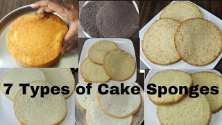 7 Types of Cake Sponges in telugu [upl. by Annissa]