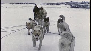 An InuitEskimo family in the Arctic 1959 [upl. by Siward]