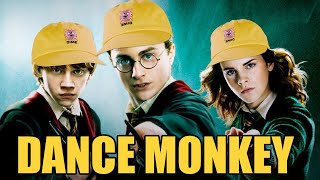 Dance Monkey is Hot in Hogwarts right now [upl. by Akyeluz]