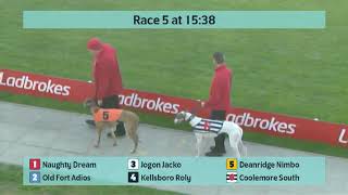 Crayford Greyhounds Races on 15th November 2024 [upl. by Tterraj]