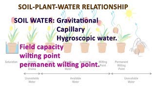 soil water  gravitational capillary hygroscopic water in soilplantwater relation [upl. by Lebanna]