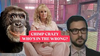 CHIMP CRAZY  WHOS IN THE WRONG [upl. by Buckden891]