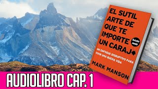 📚 Audiolibro El Sutil Arte de que te importe un CARAJO  Capítulo 1 [upl. by Wende]