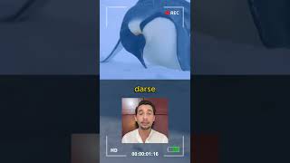 Fotografos hacen empatia por los pingüinos 🥳🤯lasmascotasdeadri pinguinos animales historiareal [upl. by Leummas]