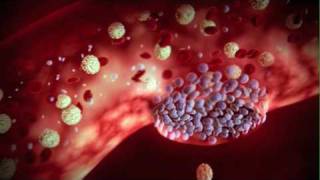 The Role of Proteins in Blood Clotting [upl. by Einohpets620]