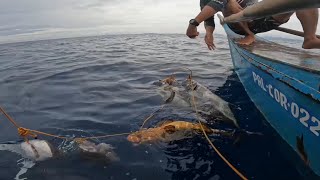 KITANG ADVENTURE GAMIT ANG BUHAY NA PAMAIN  LONGLINE FISHING USING LiVE BAITS [upl. by Elbertina]