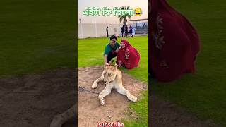 Private Zoo In🐯 Dubai  Niloy Alamgir  Hridi niloy niloyalamgir shorts dubai tasnuvahridi [upl. by Aiekan]