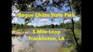 Bogue Chitto State Park  Trails in Louisiana Near [upl. by Frasco849]