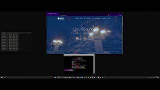 Cindy C2 Network Showcase Best Botnet Showcase Best Botnet C2BOTNETAPI VS LIQUIDBOUNCENET [upl. by Wendel]