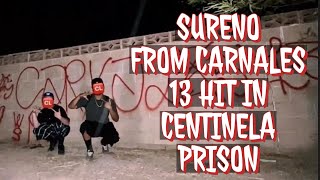 SURENO WENT TO PRISON FOR THESE CHARGES😳🫢AND WAS HIT IN CENTINELA PRISON trending crimestory [upl. by Yerdna]