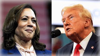 The 2024 Presidential Election As Of August 1 2024  Harris vs Trump [upl. by Osber]