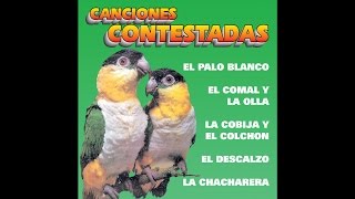 Halcones y Palomas  La Nicolasa [upl. by Girard]