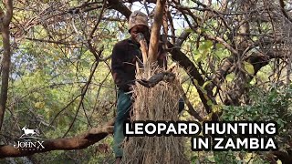 Leopard Hunting in Zambia  John X Safaris [upl. by Fidel]