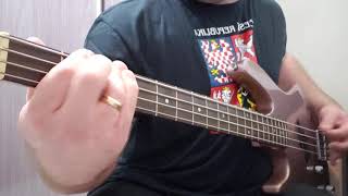 Kabát  Pohoda Bass Cover [upl. by Ayhay]