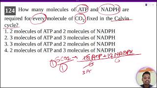 How many molecules of ATP and NADPH arerequired for every molecule of fixed in the Calvincycle [upl. by Ntsuj271]