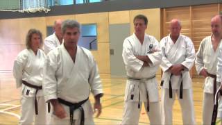 Kumite Lehrgang mit Fritz Oblinger in Brixen [upl. by Nyloj530]