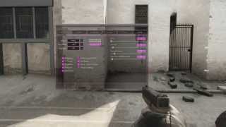 Iniuria CSGO CRACKED [upl. by Garvin]