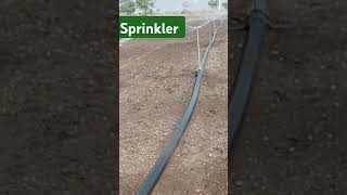 Sprinkler system farmers [upl. by Leseil]