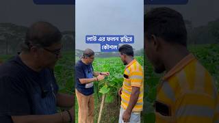 লাউ এর ফলন বৃদ্ধির কৌশল। [upl. by Can106]