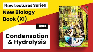 Biology of Condensation amp Hydrolysis [upl. by Letisha801]