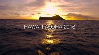 Hawaii Aloha  Song Across Hawaii  Playing For Change Collaboration [upl. by Sel]