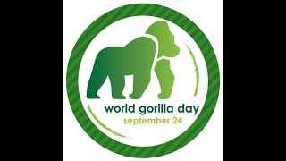 World Gorilla Day 2023 [upl. by Ciro]