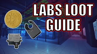 Learn Labs Loot In 10 MINUTES [upl. by Trager560]