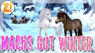 MACHS GUT WINTER 🐴 ABENDRUNDE SERVER 13  Star Stable SSO [upl. by Barny]