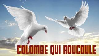 Colombe qui Roucoule le Cri de la colombe chant chante [upl. by Lateh389]