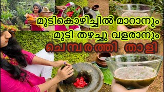 🔴Chembarathi thali for faster hair growth 🔥Anti dandruff 💯 Natural Home made Shampoo Malayalam [upl. by Gintz146]