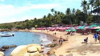 Praia de Calhetas  Cabo de Santo AgostinhoPE  Belas Imagens Aéreas [upl. by Naic]