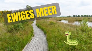 Auf dem Bohlenweg zum Ewigen Meer  Natur pur in Ostfriesland 🦎 [upl. by Nnaed]