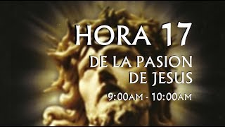 17 de 24 I Horas de la Pasión de Jesús Luisa Piccarreta Divina Voluntad [upl. by Fey]