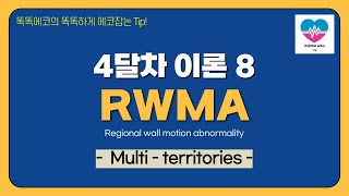 Multiterritories LAD RCA LCX RWMA echocardiography 심장초음파 heart echo view 심장국소벽운동장애 [upl. by Aneram]