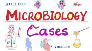 Microbiology Cases  Questions and Answers  TrueLearn Vignettes HighYield for USMLE COMLEX NCLEX [upl. by Analed990]