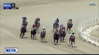 Seoul 20240316 R5 Class 5 1400M Handicap [upl. by Letrice]