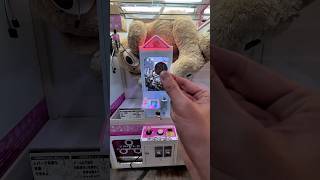 पैसे और teddy bear जीता 🤩 Pokémon vending machine shortsvideo [upl. by Nnahtebazile939]