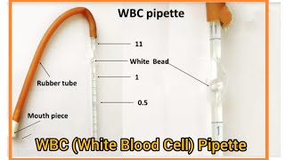 WBC Pipette Identification amp Use WBC Diluting Fluid  Turks Fluid Composition amp Ratio [upl. by Christoph]