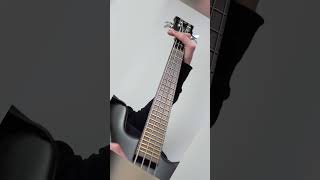 Disturbed  Indestructible CHORUS III 55 bass cover disturbed [upl. by Hcire]