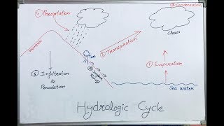 Hydrological Cycle Hindi Lecture I Water Cycle [upl. by Ahders129]