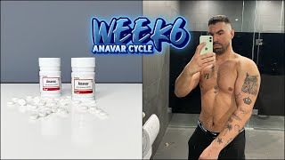 WEEK 6 ANAVAR ONLY CYCLE RESULTS BETWEEN 40MG ANAVAR VS 40MG DBOL PART 2 [upl. by Ellak]